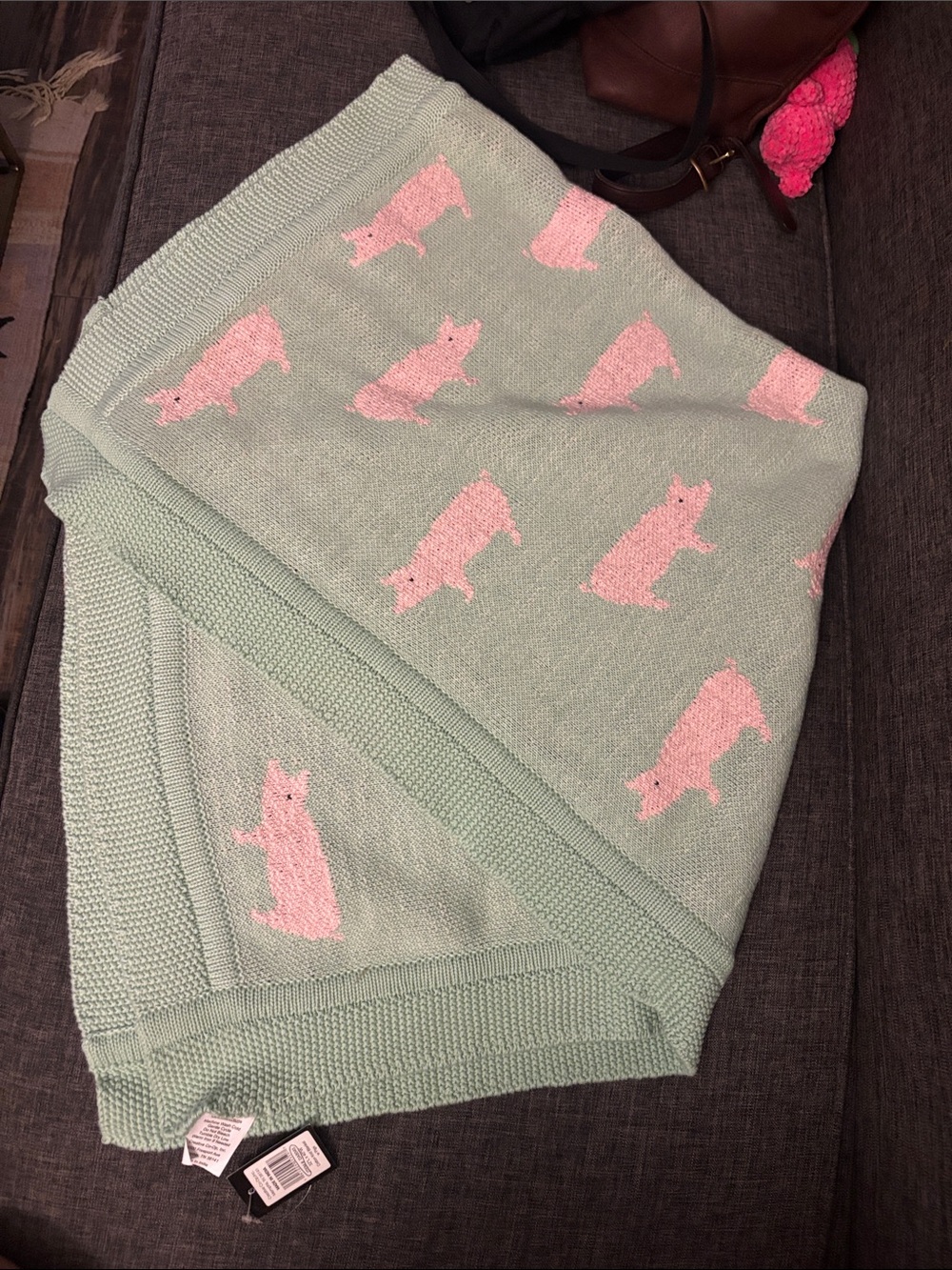 Creative Co-Op Mint Green Knit Throw with Pink Pig Motif